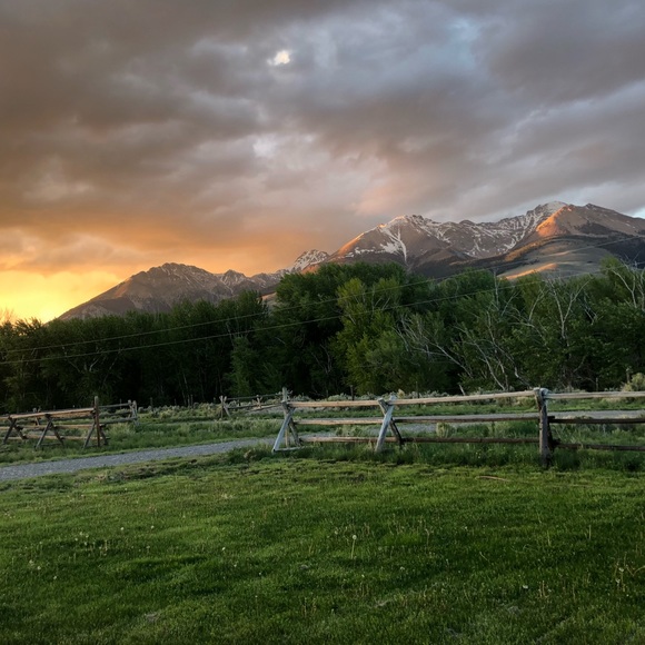 Meet your Posher, Tanae - Picture 1 of 1